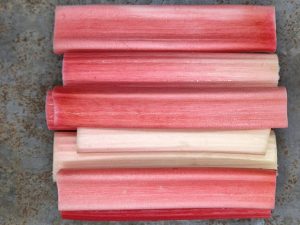 Himbeer-Rhabarber, sous-vide gegart