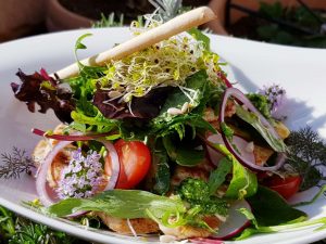 Suppen & Salate