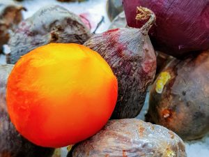 Gelbe Bete, geschält und sous-vide vorgegart