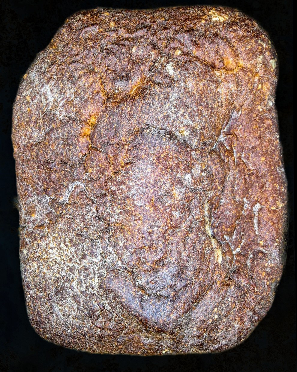 Sylter Brot von Jochen Gaues - tiefgefroren
