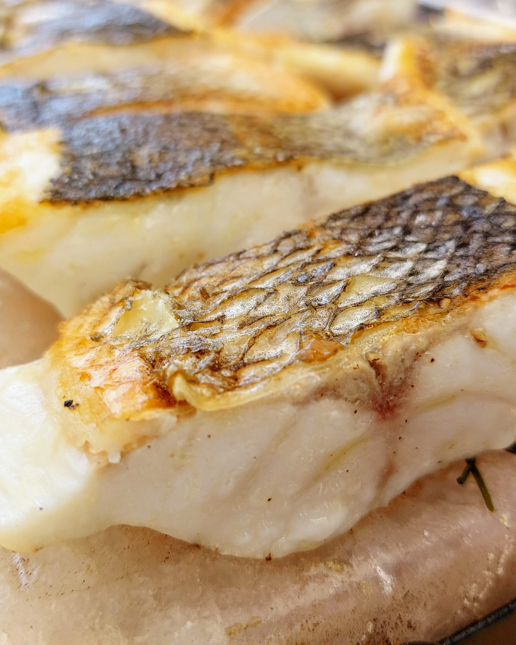 Zanderfilet mit Haut